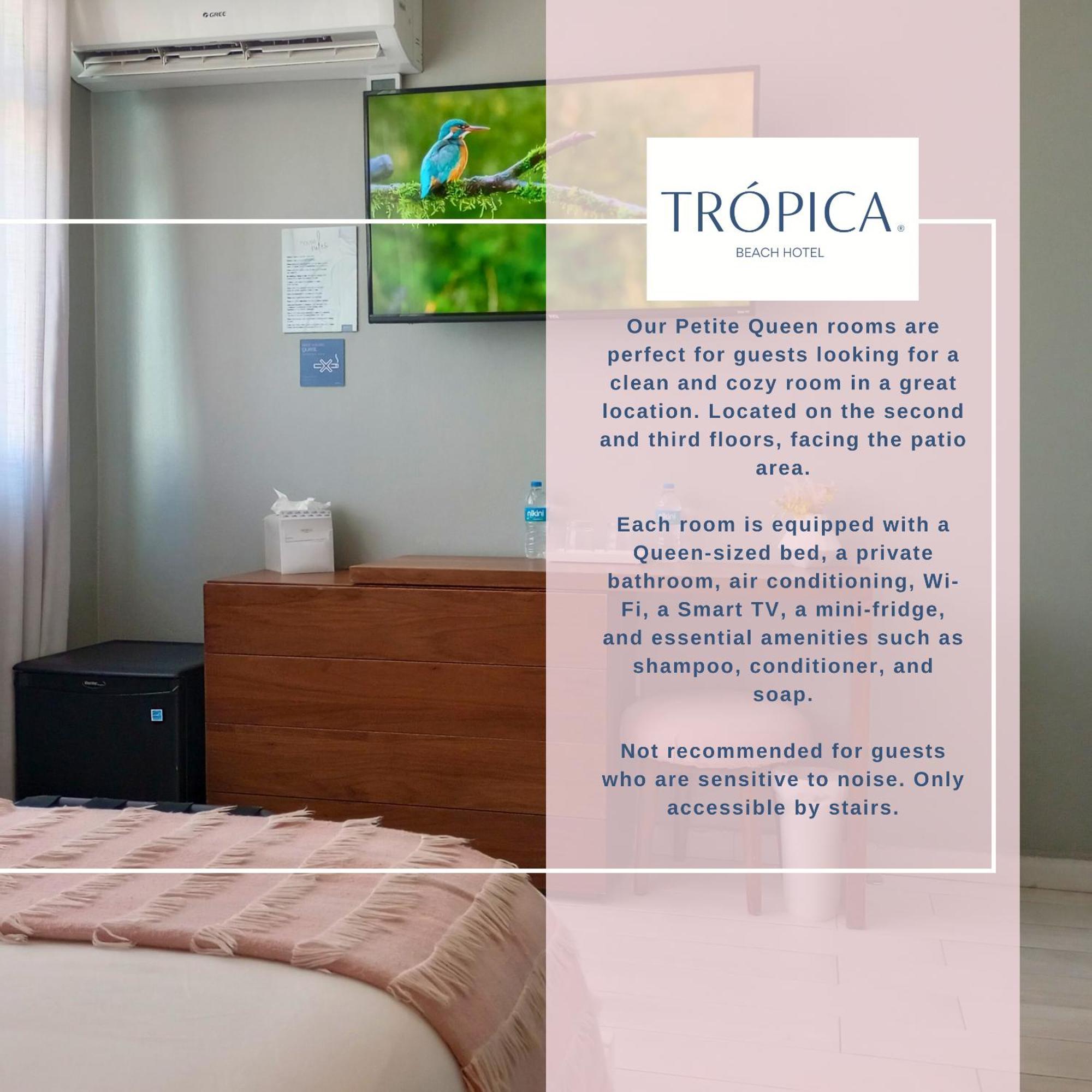 Tropica Beach Hotel (Adults Only) San Juan Cameră foto